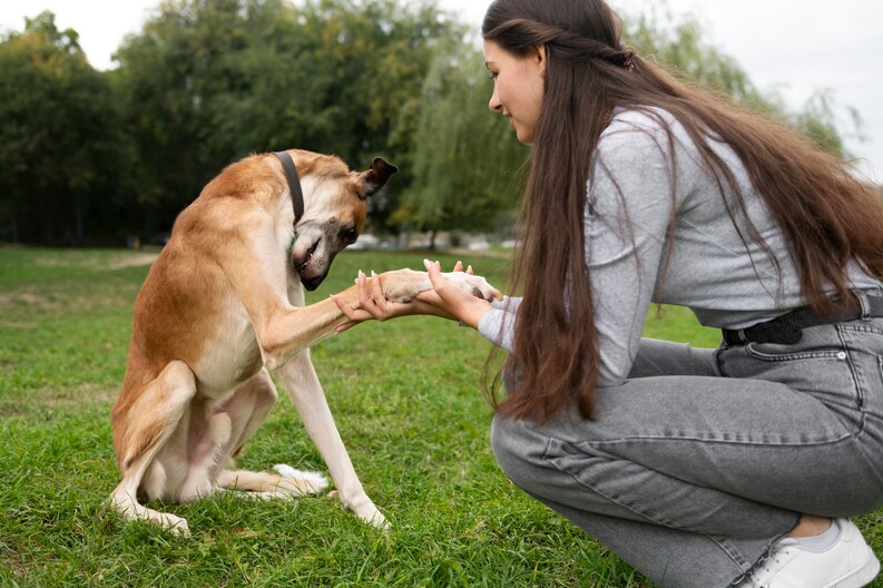 Understanding Canine Body Language
